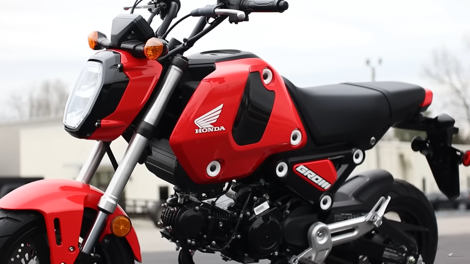 red and black color Honda Grom standing on the street